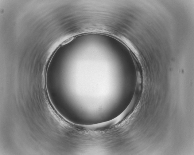 X0000086951246200704231417