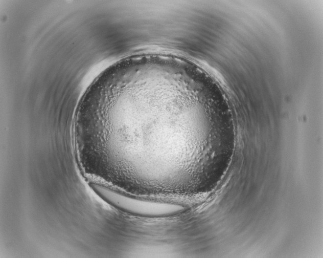 X0000086951247200704231418