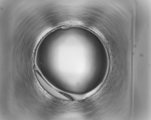 X0000086951248200704231418