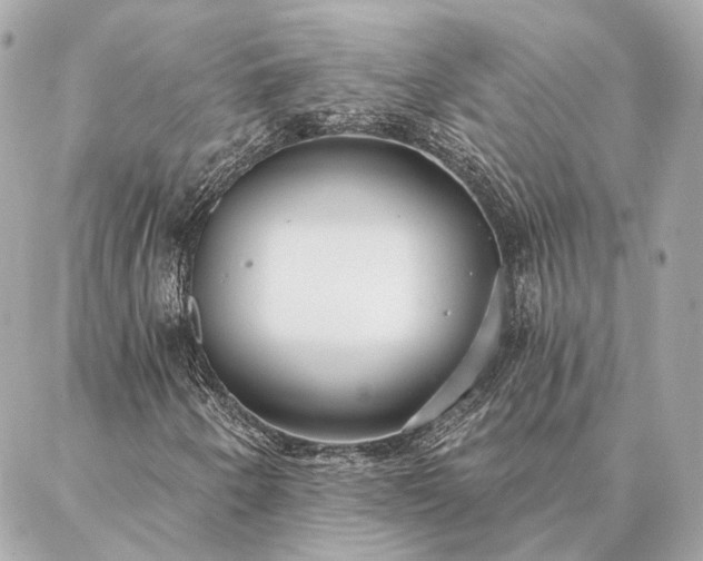 X0000086951250200704231417