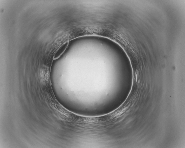 X0000086951251200704231417