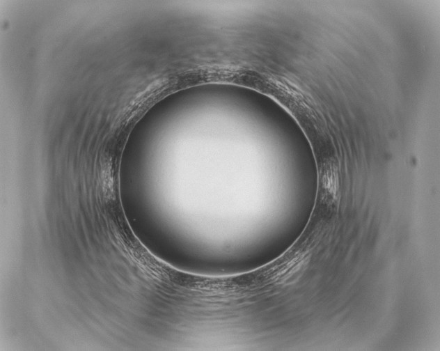 X0000086951252200704231417