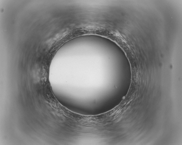 X0000086951253200704231417