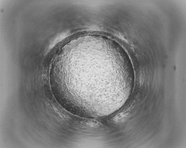 X0000086951255200704231417