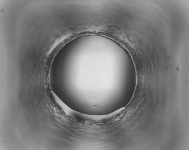 X0000086951256200704231417