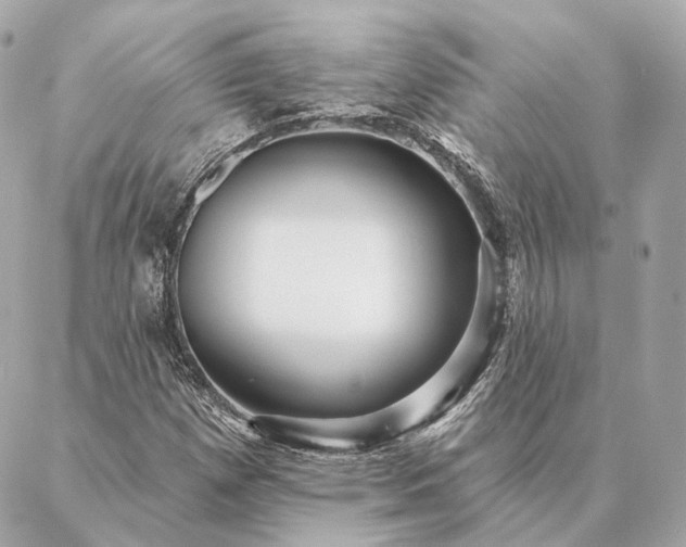 X0000086951257200704231417