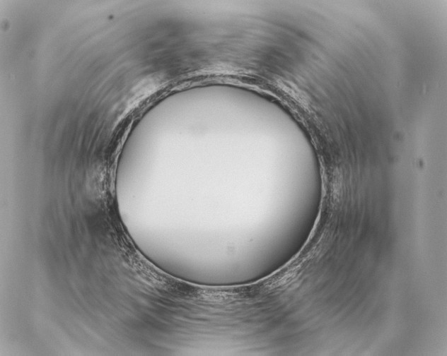 X0000086951258200704231417