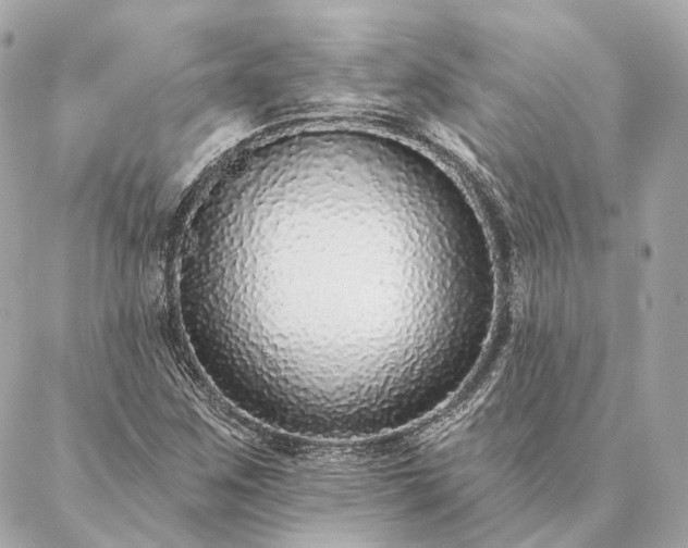 X0000086951259200704231417