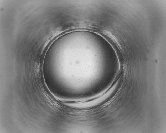 X0000086951260200704231417