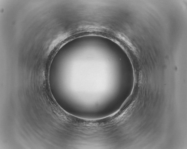 X0000086951261200704231417