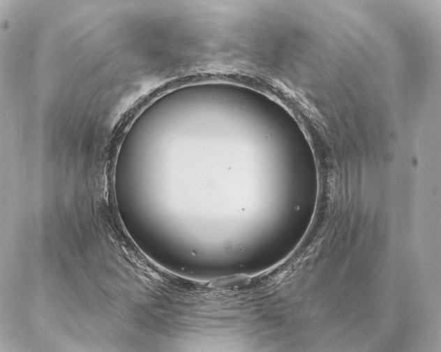 X0000086951262200704231417