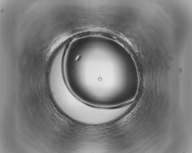 X0000086951263200704231417