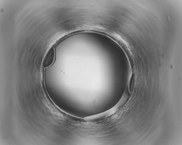 X0000086951280200704231416