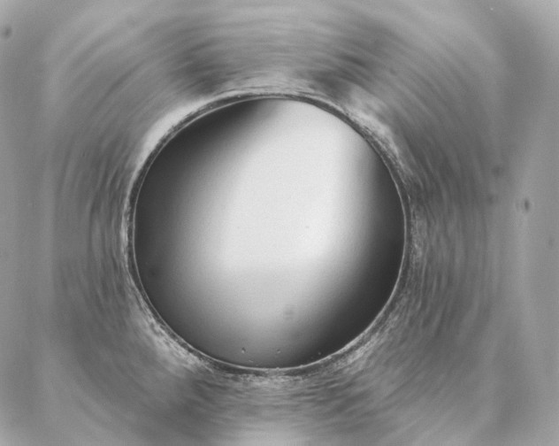 X0000086951288200704231416