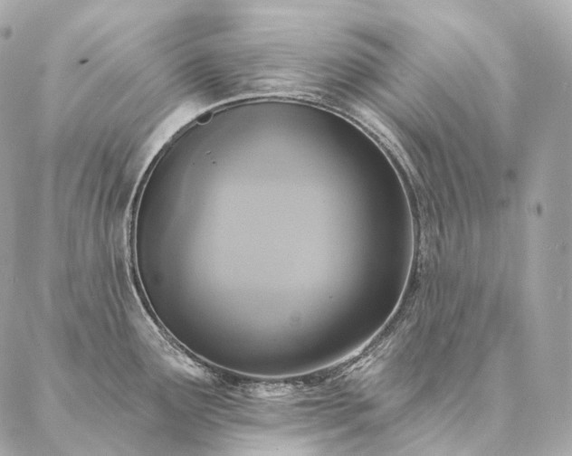 X0000086951291200704231416