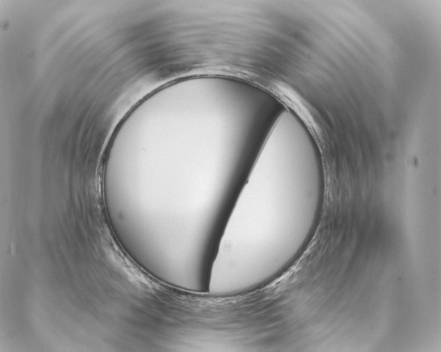 X0000086951292200704231416