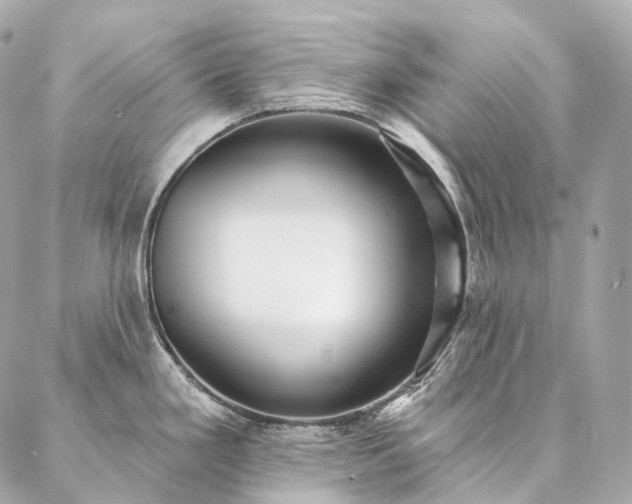 X0000086951293200704231416
