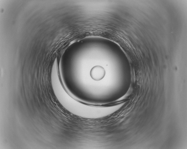 X0000086951298200704231415
