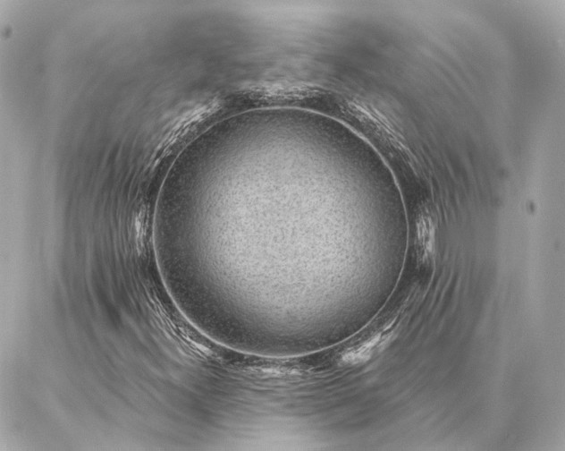 X0000086951300200704231415