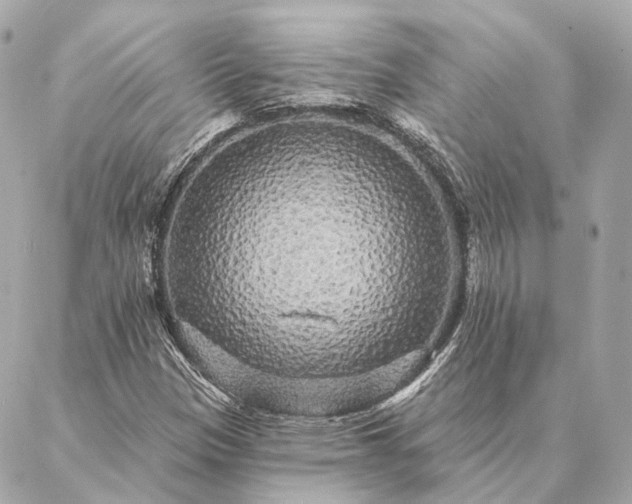 X0000086951305200704231415