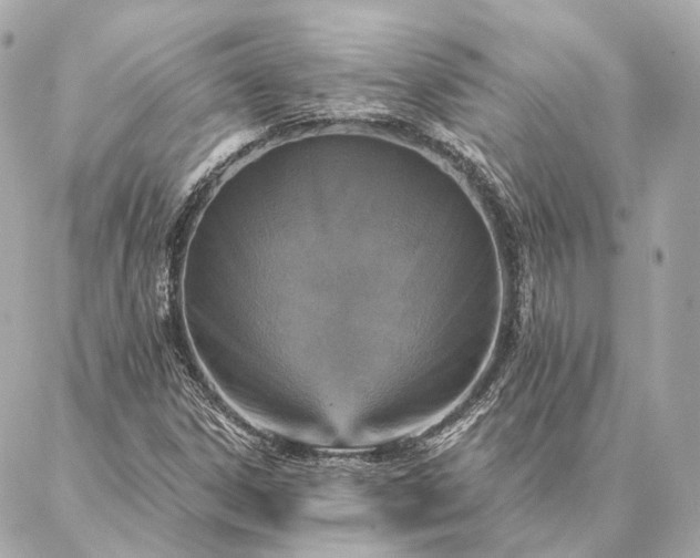 X0000086951306200704231415