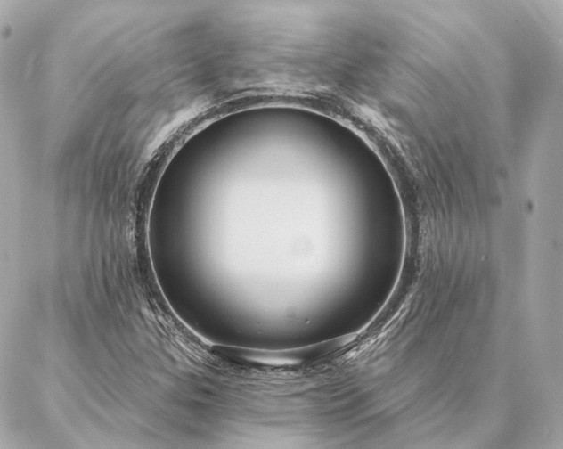 X0000086951307200704231415