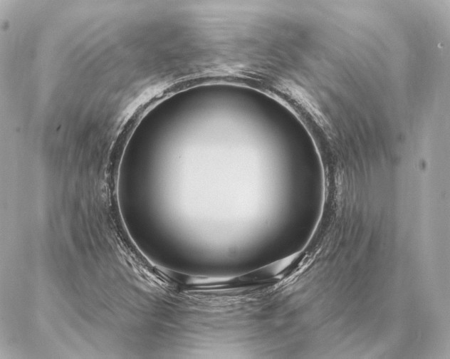 X0000086951308200704231415