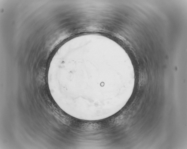 X0000086951314200704231415