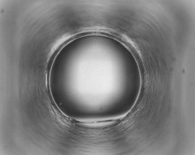 X0000086951320200704231416