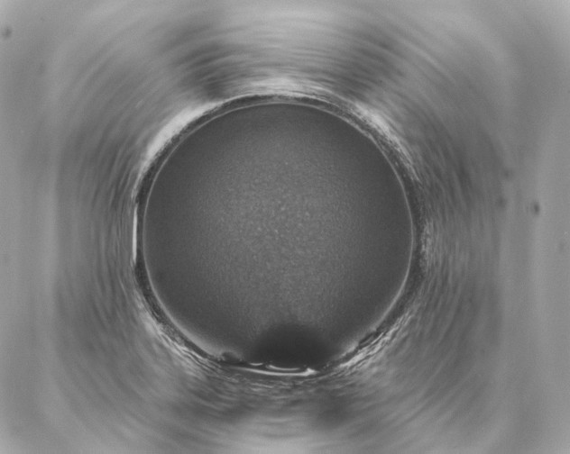 X0000086951323200704231416