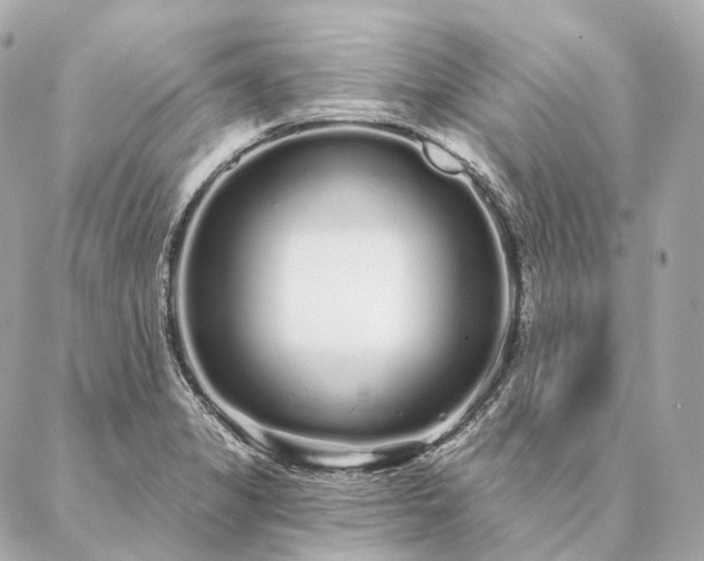 X0000086951325200704231416