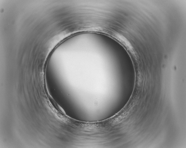 X0000086951332200704231416