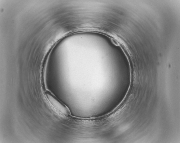 X0000086951333200704231416