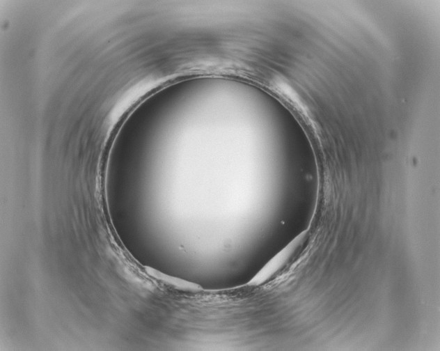 X0000086951336200704231416