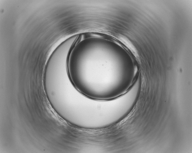 X0000086951340200704231416