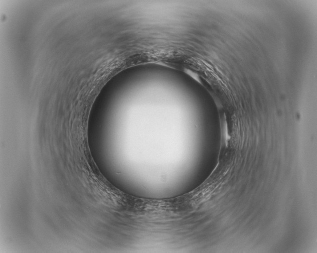 X0000086951345200704231415