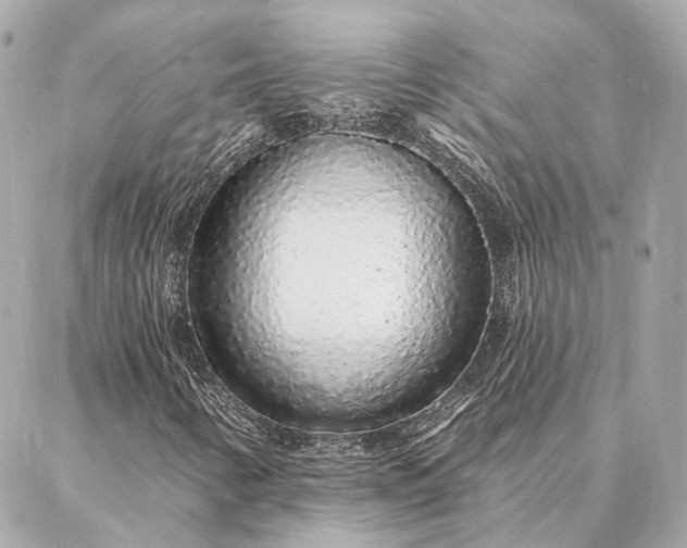 X0000086951346200704231415