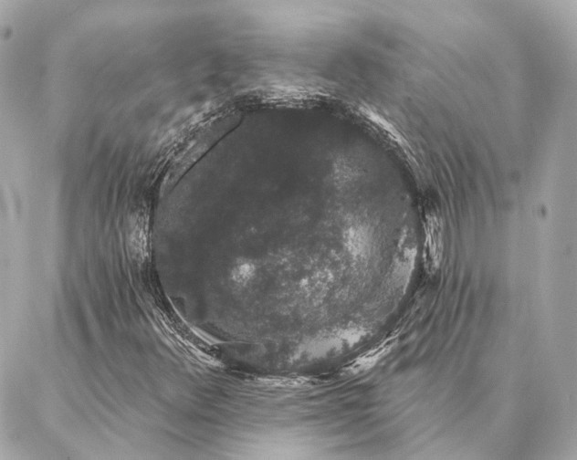 X0000086951348200704231415