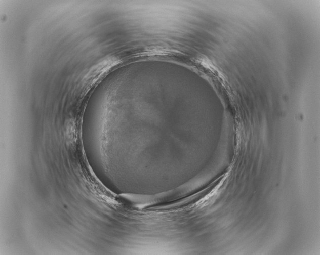 X0000086951353200704231415