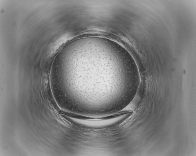 X0000086951355200704231415