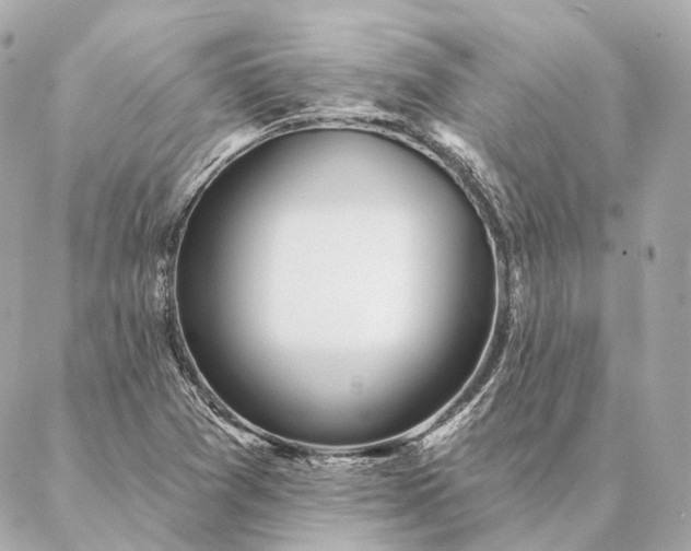 X0000086951361200704231415