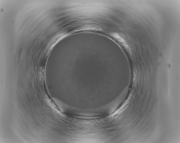 X0000086951369200704231415