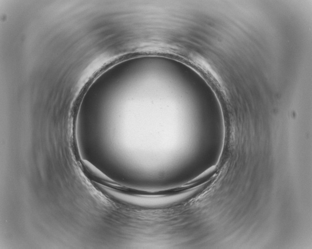 X0000086951376200704231415
