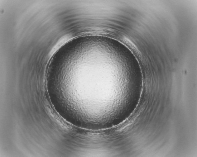 X0000086951378200704231415