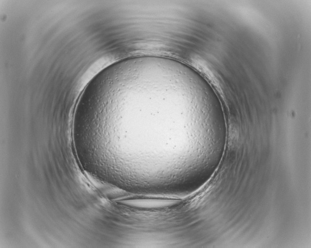 X0000086951386200704231415