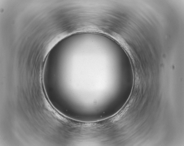 X0000086951390200704231414