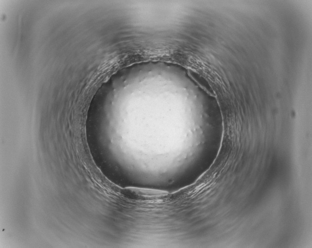 X0000086951393200704231414