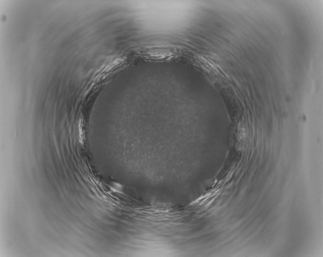 X0000086951394200704231414