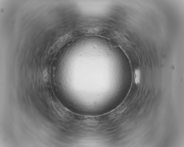 X0000086951395200704231414