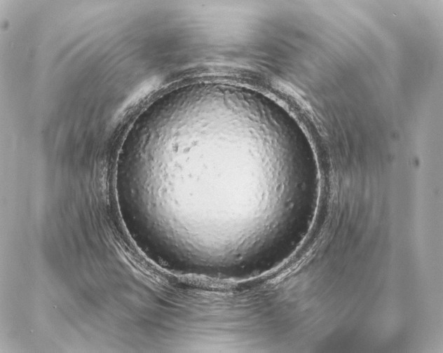 X0000086951403200704231414